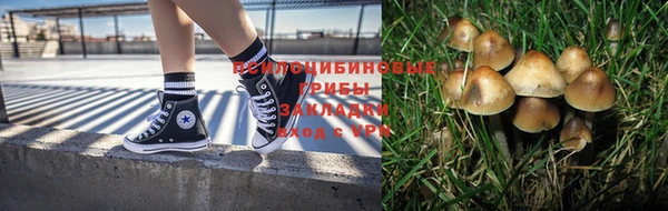 гашиш Арсеньев