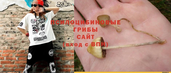 гашиш Арсеньев