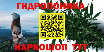 дмт Малгобек