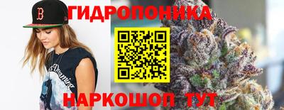 кокс Моздок