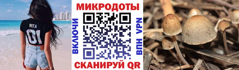 Галлюциногенные грибы MAGIC MUSHROOMS  даркнет сайт  Кинель 