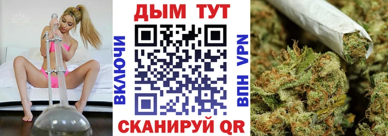 купить  цена  Кинель  Канабис OG Kush 