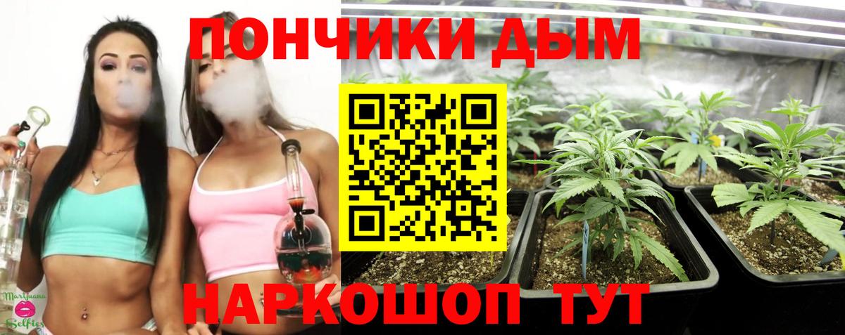Бошки Шишки THC 21%  Канабис White Widow  Конопля Bruce Banner  Марихуана AK-47  Кинель  Вход с VPN 